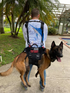 Shoulder Carry Straps