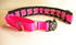 Prong Concealment Collar