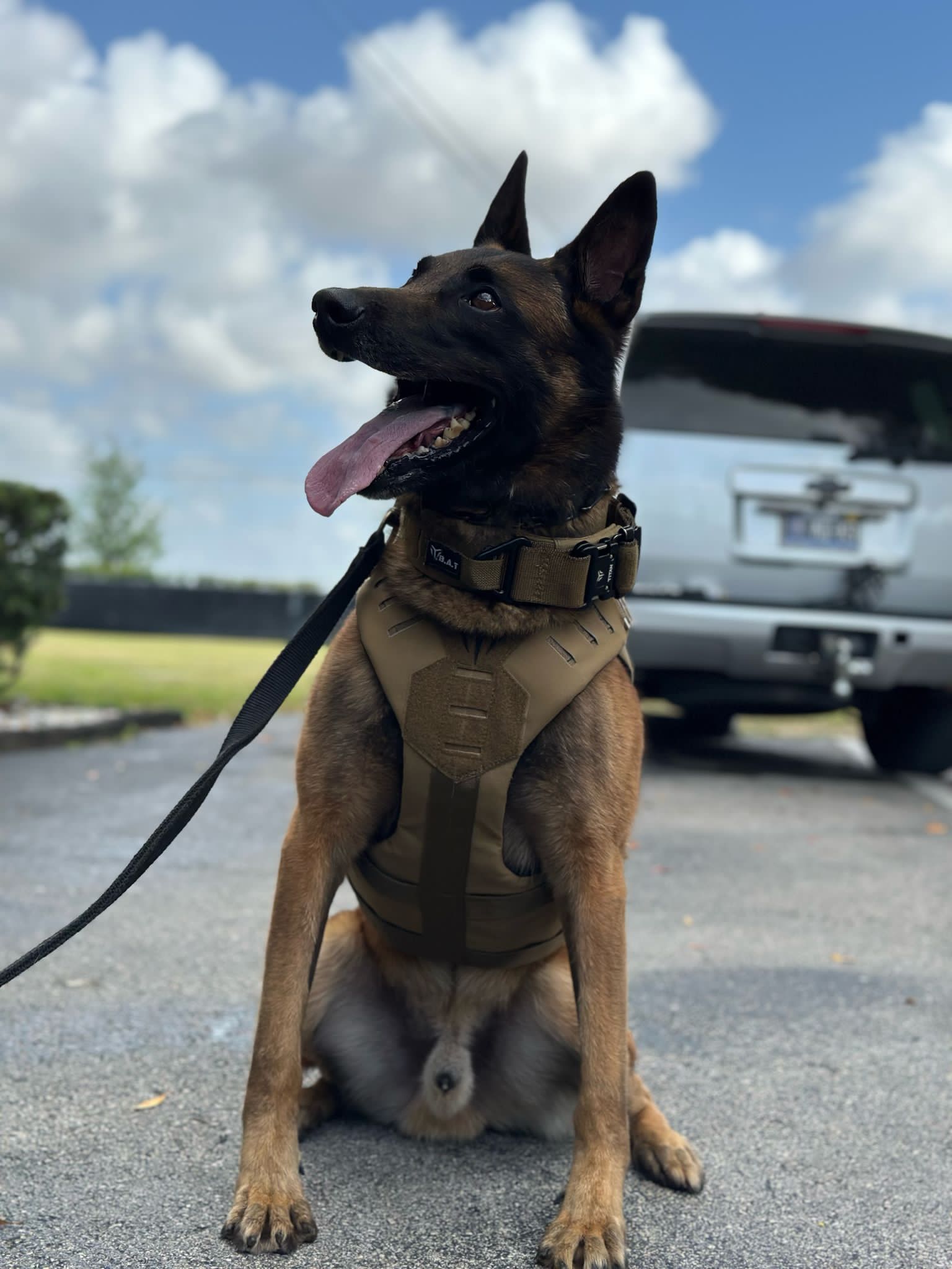 Front view of the B.A.T K9 Ballistic Protection System highlighting the snag-resistant ULP buckles