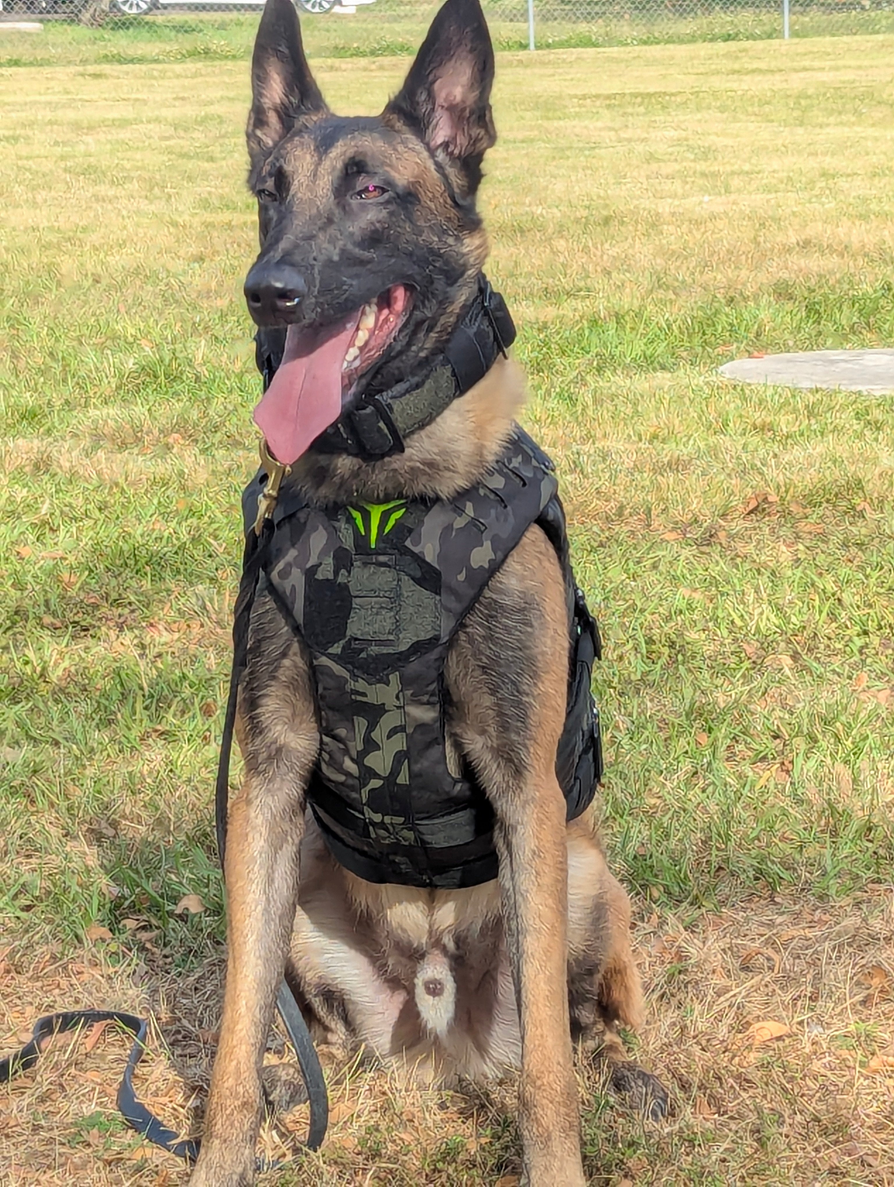 Close-up of the NIJ Certified ballistic panels within the B.A.T K9 Ballistic Protection System