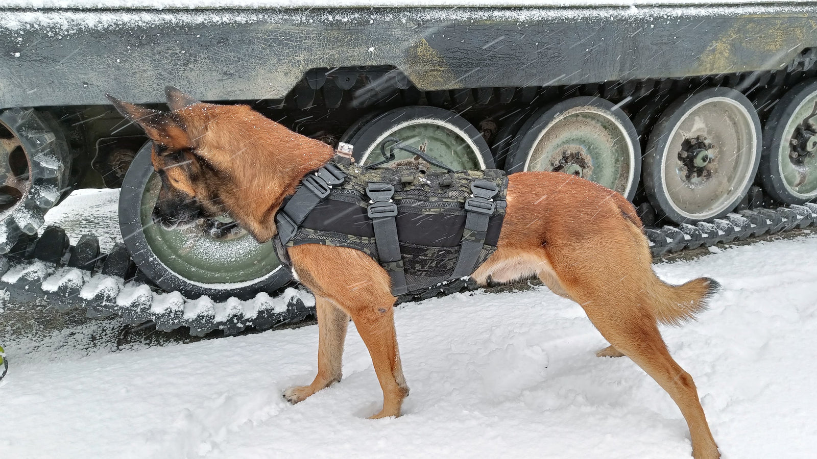 Black Ops K9 Insertion Vest
