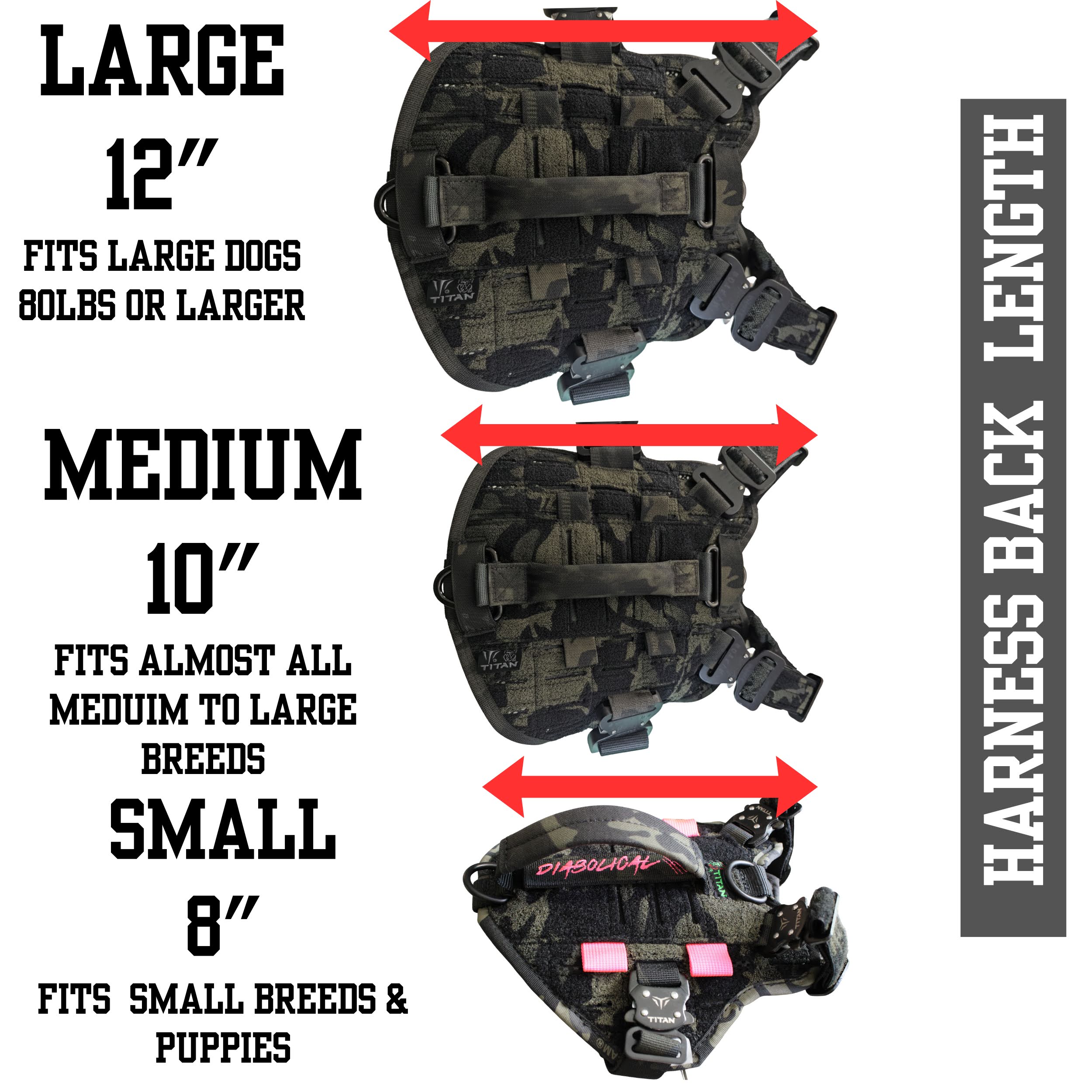 Stingray Harness