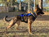 Delta K9 Harness