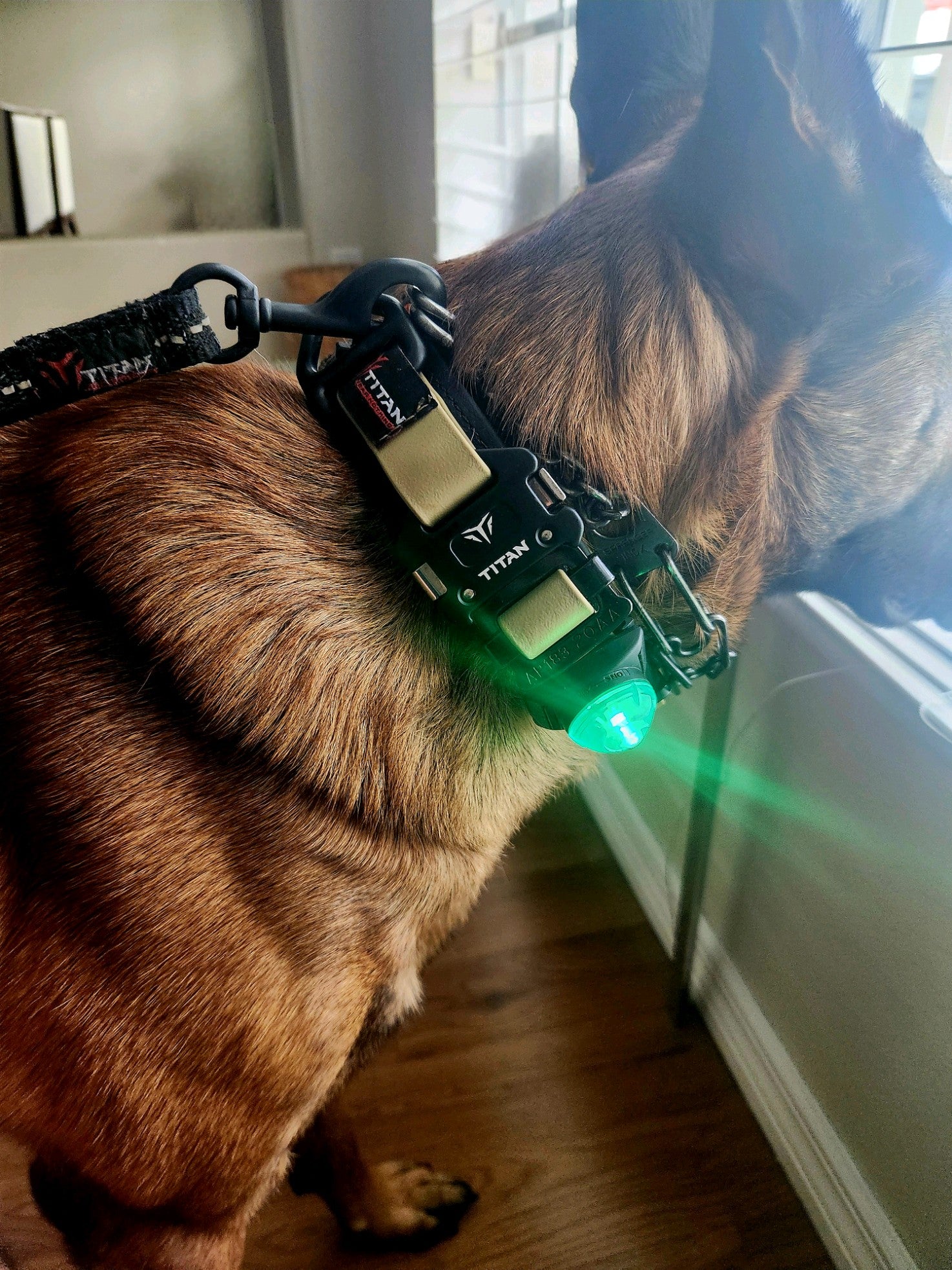 Super Bright Clip-on LED Light