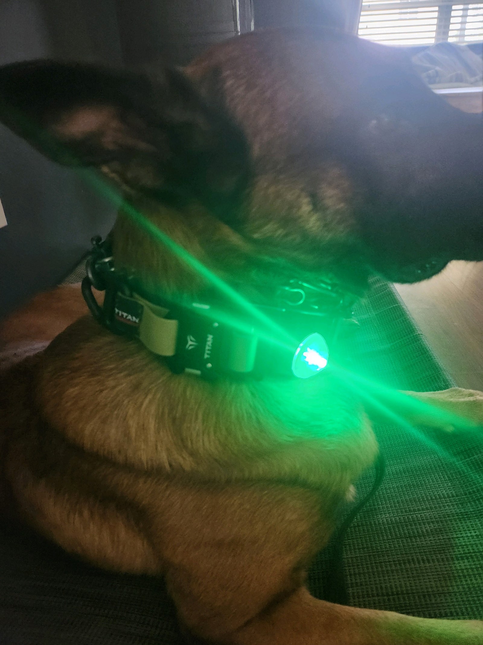 Super Bright Clip-on LED Light