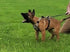 Puppy harness