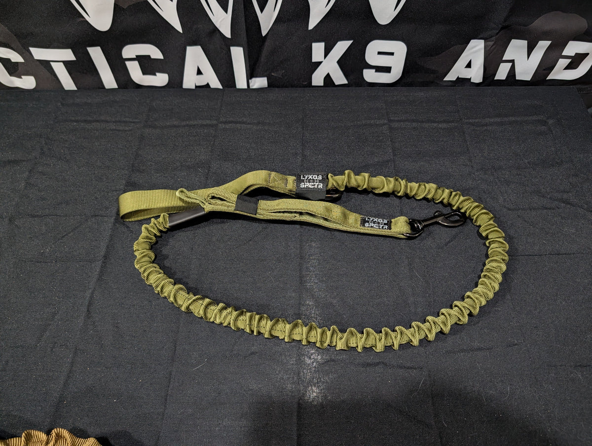 Bungee Leads Titan Ultra K9