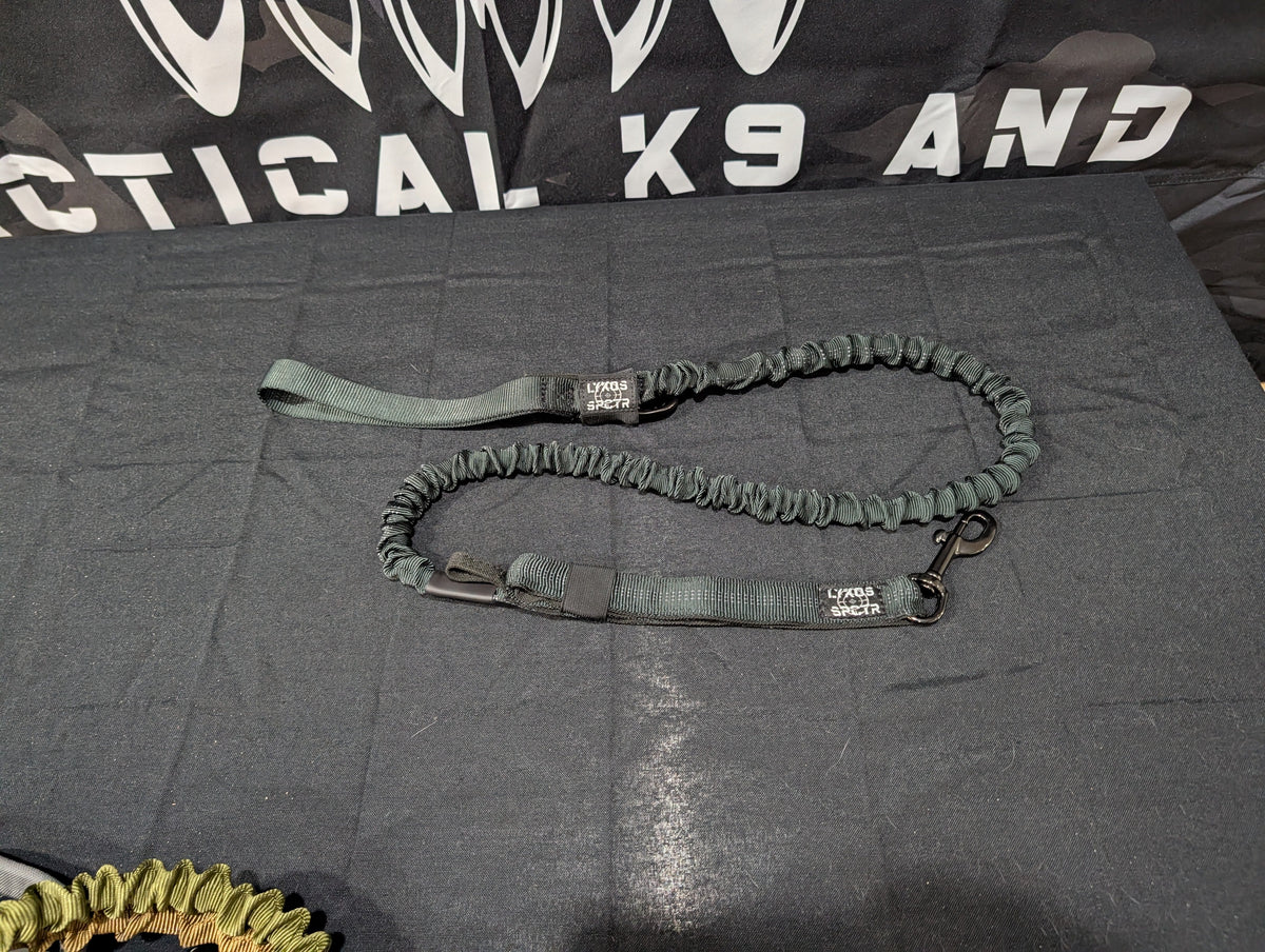 Bungee Leads Titan Ultra K9
