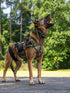 Black Ops K9 Insertion Vest