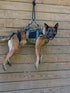 Black Ops K9 Insertion Vest