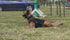 B.A.T K9 Ballistic Protection System
