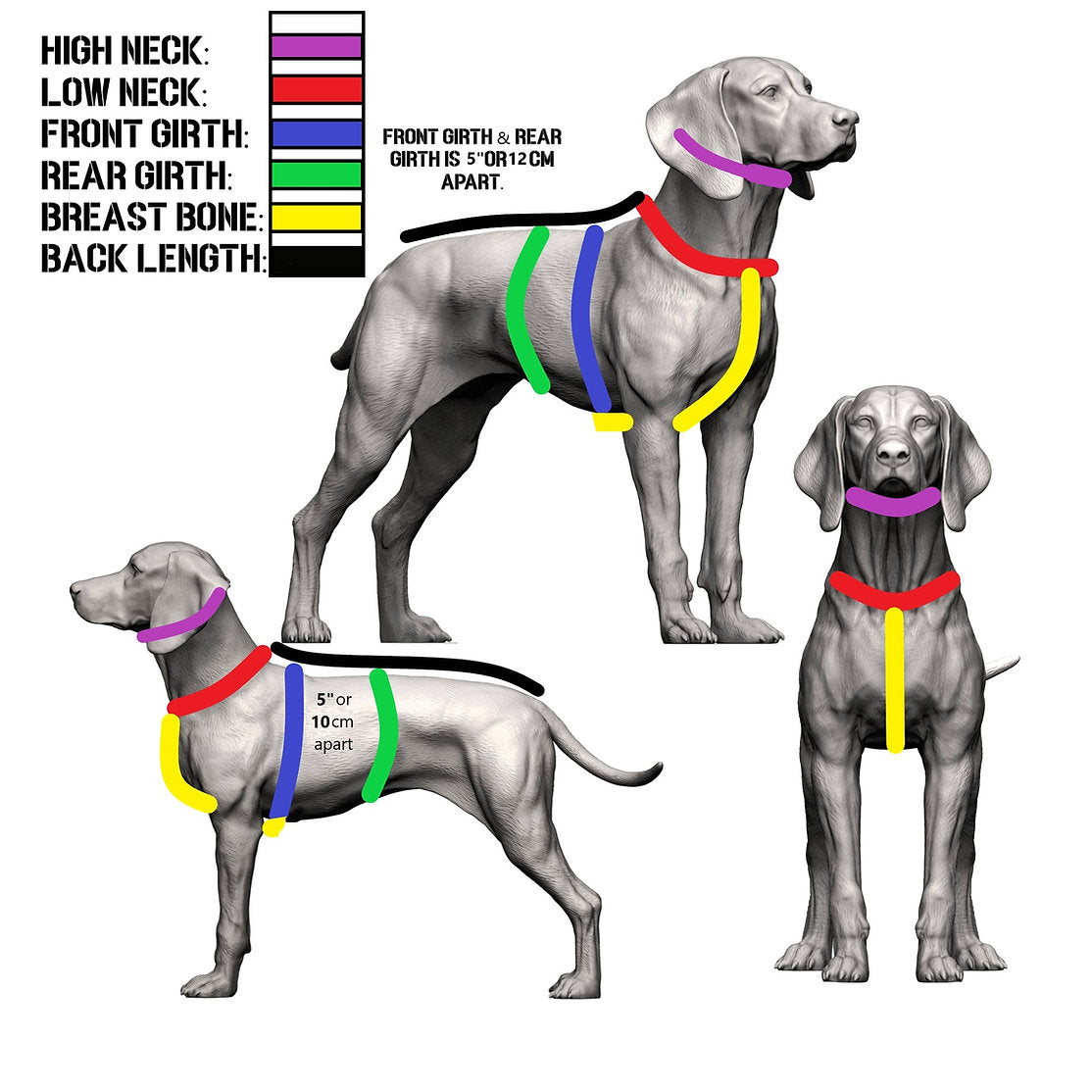 Black Ops K9 Insertion Vest
